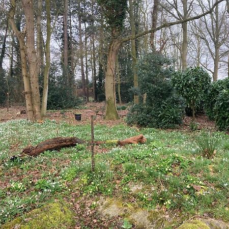 Woodland Retreat, Market Lane, Blundeston, Lowestoft Dış mekan fotoğraf