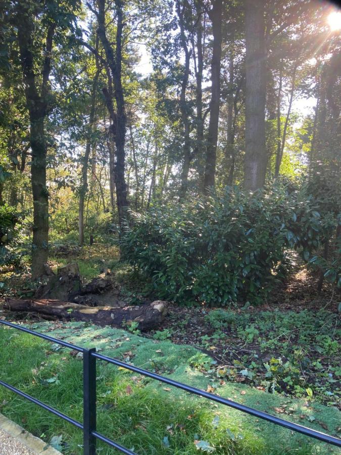 Woodland Retreat, Market Lane, Blundeston, Lowestoft Dış mekan fotoğraf