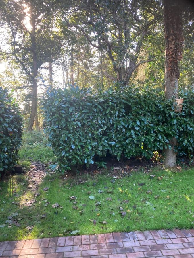 Woodland Retreat, Market Lane, Blundeston, Lowestoft Dış mekan fotoğraf