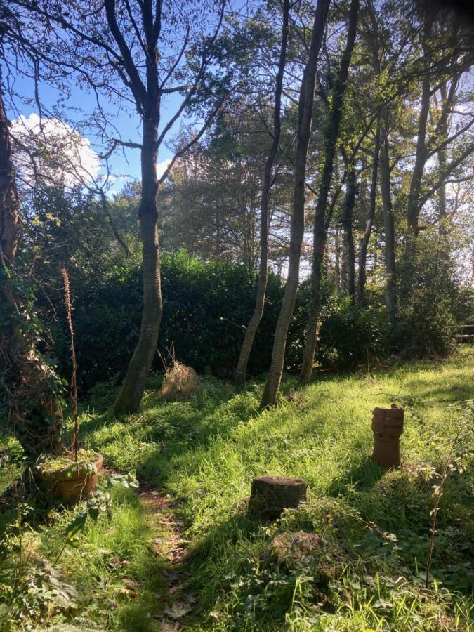 Woodland Retreat, Market Lane, Blundeston, Lowestoft Dış mekan fotoğraf