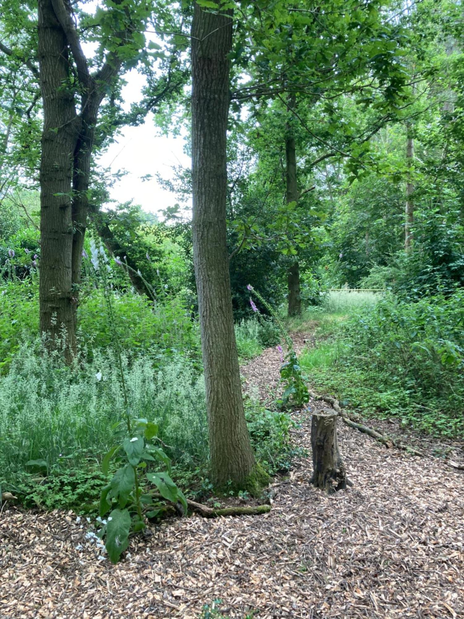 Woodland Retreat, Market Lane, Blundeston, Lowestoft Dış mekan fotoğraf